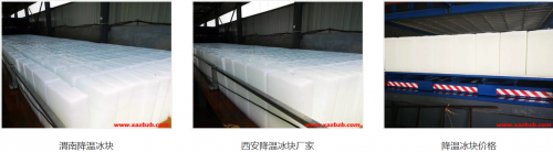 西安绿巨人官网免费下载在线观看冰块都供给什么行业？厂房绿巨人黄色视频、冷链运输、化工工艺冷却看这里